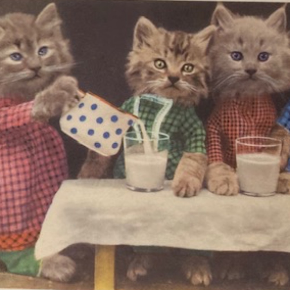 1940's Campbells Tomato Soup Advertising - Picture 9 of 9